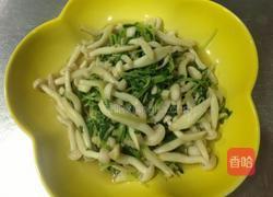 清炒菇菇豌豆苗的做法图解19