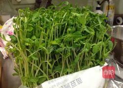 清炒菇菇豌豆苗的做法图解9