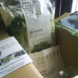 豌豆苗的做法[图]