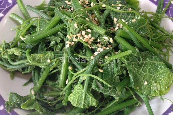 麻油清炒龙鬚菜