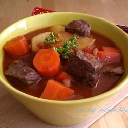 红萝卜炖牛肉的做法[图]