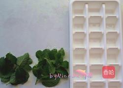 机冷压橄榄油的做法图解2
