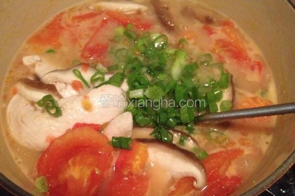 番茄味噌鲜鱼汤