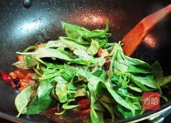 机橄榄油的做法图解10