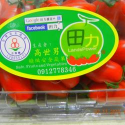 田蜜蜜小番茄的做法[图]