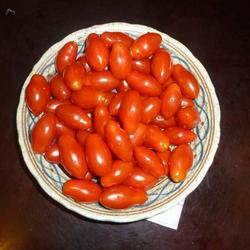 新鲜爽口小番茄的做法[图]