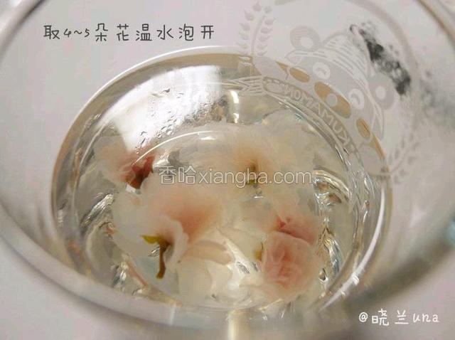 取四五朵樱花，温水泡开