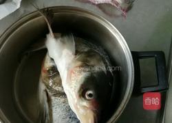 干锅鱼头的做法图解1