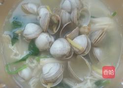 煲白蛤汤的做法图解7