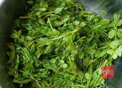 拌花椒芽。的做法图解1
