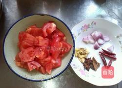 番茄炖排骨的做法图解4