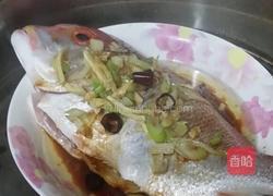 蒸红鲷鱼的做法图解3