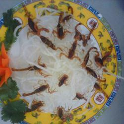 雪山飞蝎的做法[图]