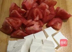 西红柿炖豆腐的做法图解1