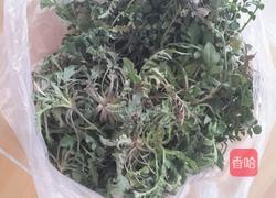 荠菜煎鸡蛋的做法图解1