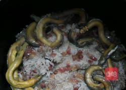 焗黄鳝腊肠饭的做法图解4