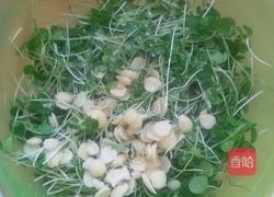 杏仁香椿苗的做法图解4