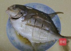 蒸黄鲳鱼的做法图解5