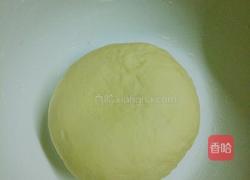 萌宠游春图的做法图解3