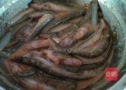 炸泥鳅鱼的做法图解2