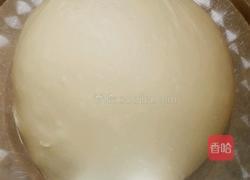 太阳花面包?的做法图解4