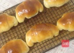 小餐包的做法图解7