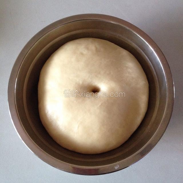 将揉好的面团放入盆中，盖上保鲜膜，放入温暖处进行基础发酵.发酵至面团2倍大，用手指沾面粉，戳一个洞，不回缩