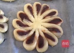 菊花酥的做法图解8