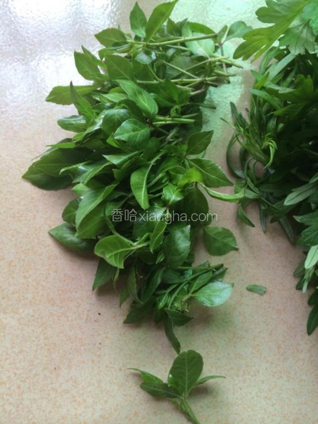 苦茶洗净
