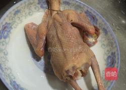 五指毛桃乳鸽汤的做法图解2