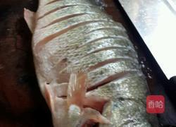 孔雀开屏的做法图解1