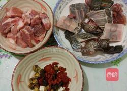 草龟炖排骨的做法图解1