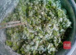 蒸榆钱儿的做法图解4