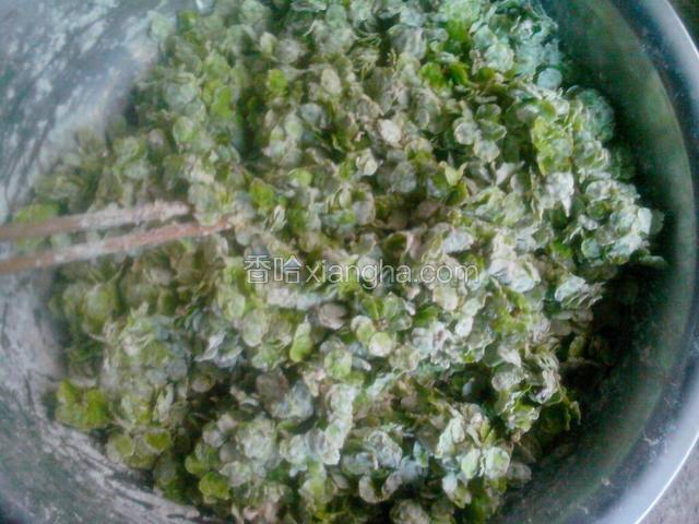 把面粉和榆钱儿和到一起，搅匀