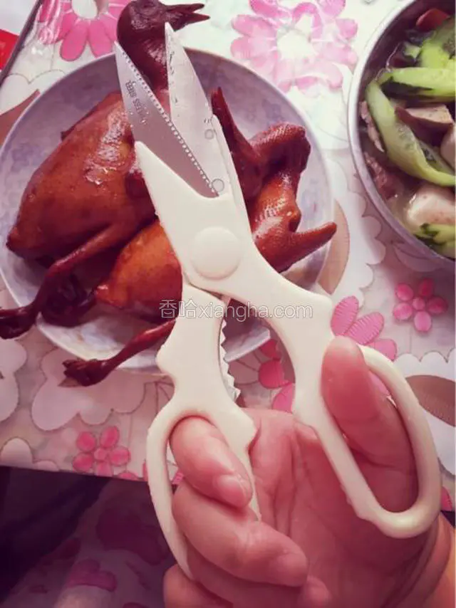 凉了，备厨剪。

超轻易的我就把乳鸽剪了下来。剪骨就是那么的轻易哟。我是在朋友家里用了厨剪之后就爱上它了。





家里没厨剪也没关系啦，就切吧。