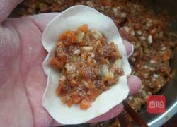 羊肉胡萝卜饺子。的做法图解8