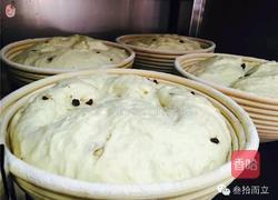 <面包>苹果图兰朵天然酵母面包制作配方（图文教程）-叁拾而立烘焙学院，配方每周五更新的做法图解10