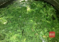 荠菜肉包子的做法图解2