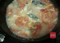 西红柿鱼汤的做法图解4