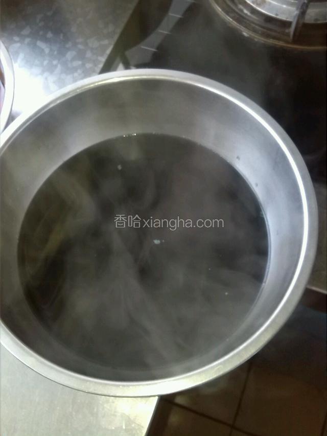 紫甘蓝切小块煮水