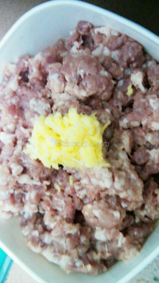 肉碎及生姜碎
