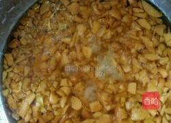 自制杏肉果酱的做法图解2