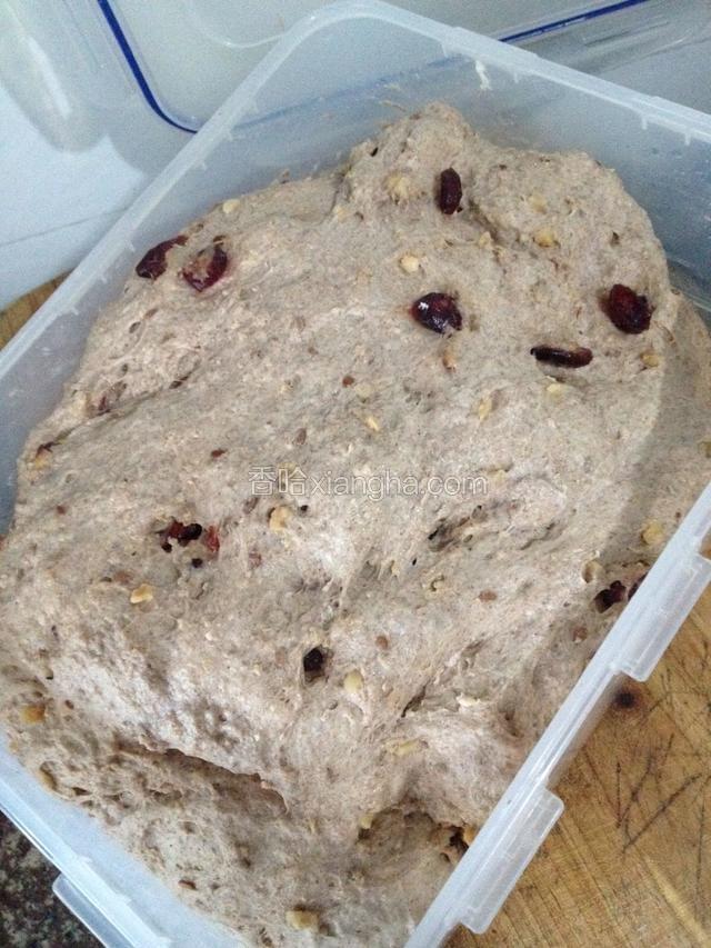 在乐扣大食盒里混合天然酵种酵头及所有材料，并揉均，盖住盖子发酵8个小时；