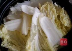 萝卜燜大白菜的做法图解4