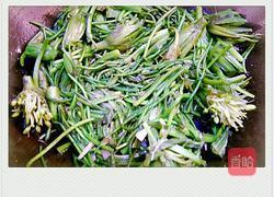 清炒洱海海菜的做法图解4