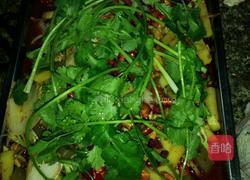 正宗诸葛烤鱼（鲶鱼版）的做法图解7