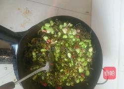 苦菜坛烧蚕豆的做法图解5