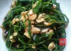 凉拌蒲公英的做法图解4