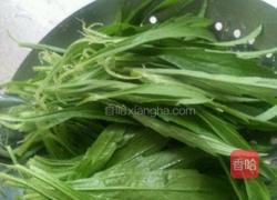 凉拌蒲公英的做法图解1