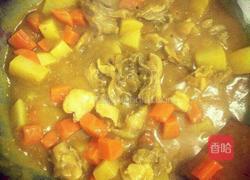 咖喱鸡的做法图解6